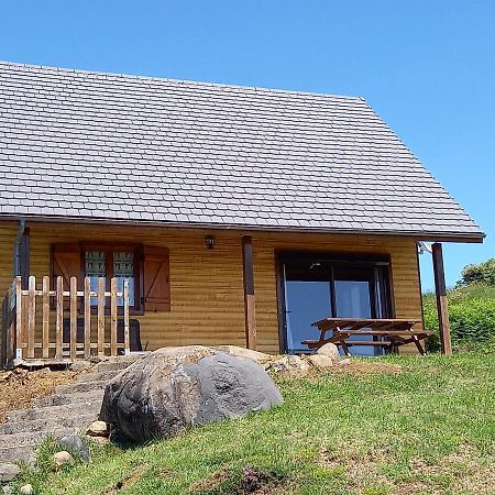 Chalet Sancy Saint-Genès-Champespe Exterior foto